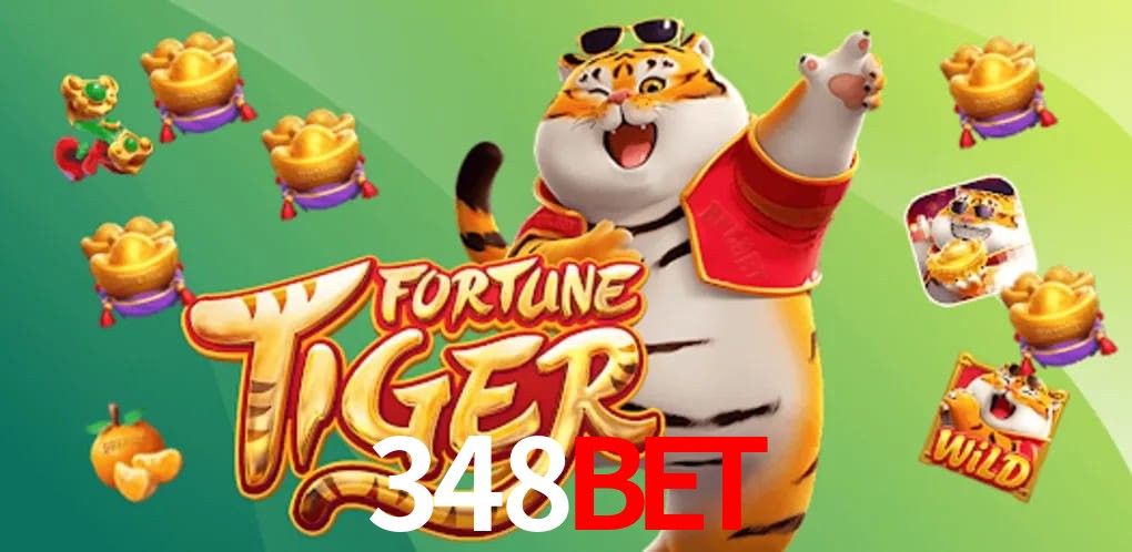 Experiência VIP 348bet